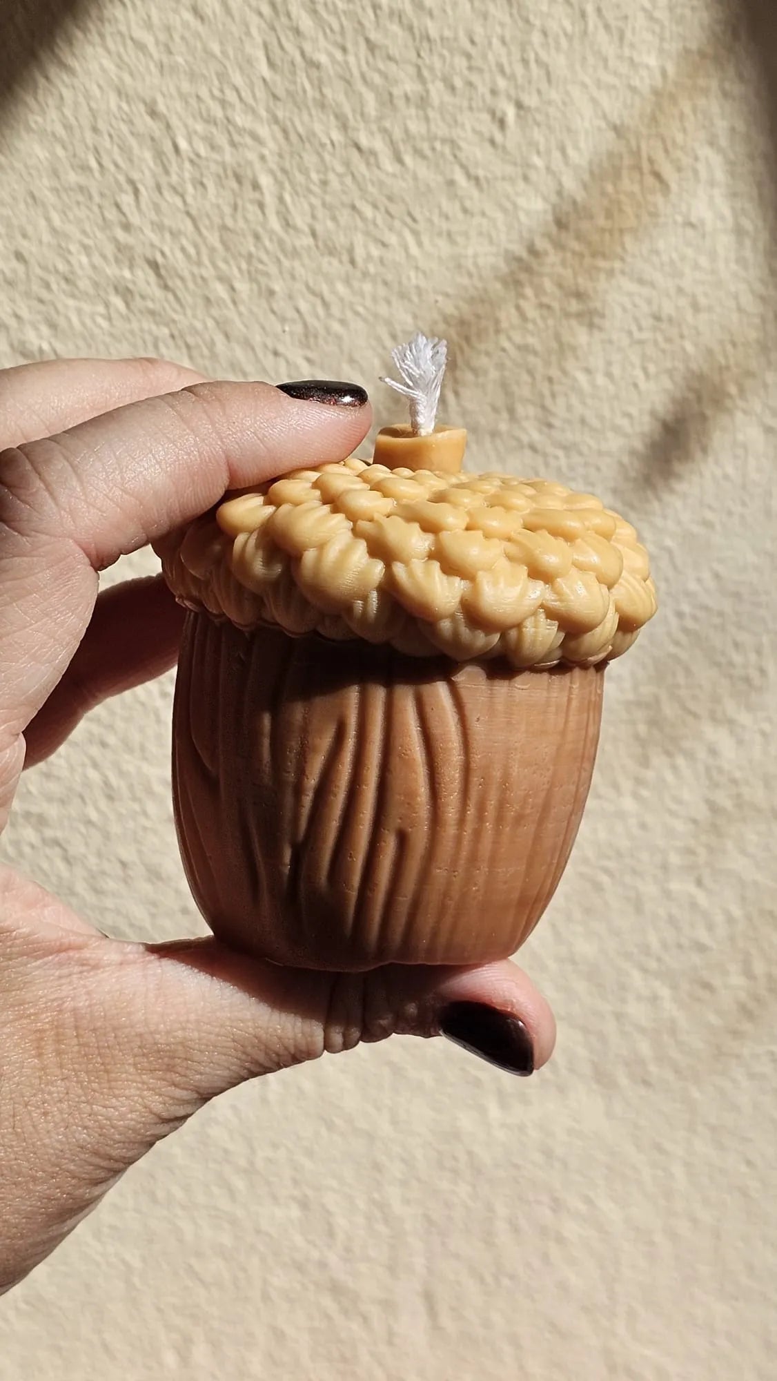 Bellota de cera